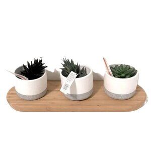 CENTERPIECE Decor Mini Faux Succulents in Ceramic Pots ASHLAND Wooden Tray